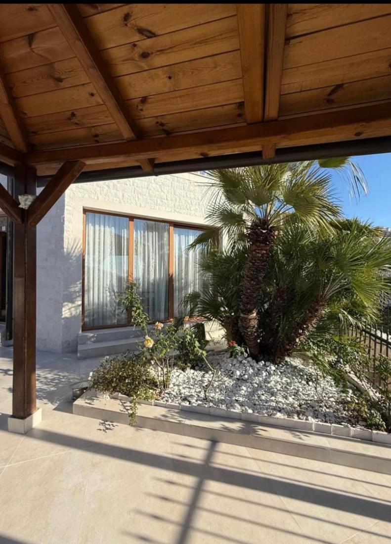 Villa Rakhimov Herceg Novi Exteriér fotografie
